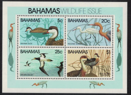 Bahamas Pintail Egret Booby Whistling Duck Birds MS 1981 MNH SG#MS593 - Bahama's (1973-...)