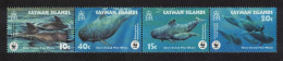 Cayman Is. WWF Short-finned Pilot Whale Strip Of 4v 2003 MNH SG#1037-1040 MI#970-973 Sc#902-905 - Cayman (Isole)