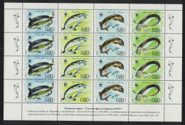 Bulgaria WWF Giant Sturgeon Sheetlet Of 4 Sets 2004 MNH SG#4516-4519 MI#4678-4681 Sc#4330 A-d - Ungebraucht