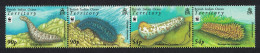BIOT WWF Sea Cucumbers Strip Of 4v 2008 MNH SG#392-395 MI#470-473 Sc#361-364 - Brits Indische Oceaanterritorium