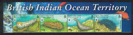 BIOT WWF Sea Cucumbers Top Strip Name 2008 MNH SG#392-395 MI#470-473 Sc#361-364 - Territorio Britannico Dell'Oceano Indiano
