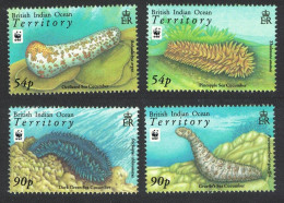 BIOT WWF Sea Cucumbers 4v 2008 MNH SG#392-395 MI#470-473 Sc#361-364 - Territorio Britannico Dell'Oceano Indiano