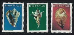 Brazil Shells Brazilian Molluscs 3v 1977 MNH SG#1666-1668 - Unused Stamps