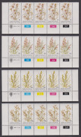 Bophuthatswana Indigenous Grasses 1st Series 4v Strips Control Numbers 1981 MNH SG#80-83 Sc#80-83 - Bophuthatswana