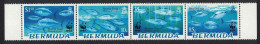 Bermuda WWF Atlantic Bluefin Tuna Strip Of 4v 2004 MNH SG#938-941 MI#877-880 Sc#884-887 - Bermuda