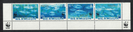 Bermuda WWF Atlantic Bluefin Tuna Bottom Strip Of 4v WWF Logo 2004 MNH SG#938-941 MI#877-880 Sc#884-887 - Bermudes