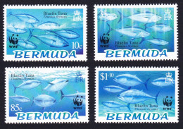 Bermuda WWF Atlantic Bluefin Tuna 4v 2004 MNH SG#938-941 MI#877-880 Sc#884-887 - Bermudes