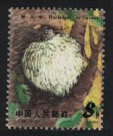 China Edible Mushroom 'Hericium Erinaceus' 1981 MNH SG#3094 Sc#1705 - Ungebraucht