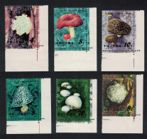 China Edible Mushrooms 6v Corners 1981 MNH SG#3092-3097 Sc#1703-1708 - Unused Stamps