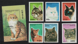Congo Cats 6v+MS 1996 MNH MI#1451-1456+Block 129 - Nuovi