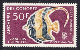 Comoro Is. Moorish Idol Fish 'Zanclus Cornutus' 50f 1968 MNH SG#71 MI#90 Sc#C23 - Altri & Non Classificati