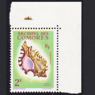 Comoro Is. Sea Shell 'Murex Ramosus' 2f Corner 1962 MNH SG#25 MI#44 Sc#50 - Altri & Non Classificati