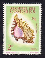 Comoro Is. Sea Shell 'Murex Ramosus' 2f 1962 MNH SG#25 MI#44 Sc#50 - Andere & Zonder Classificatie