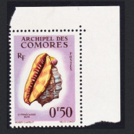 Comoro Is. Sea Shell 'Cypraecassis Rufa' 50c Corner 1962 MNH SG#23 MI#42 Sc#48 - Sonstige & Ohne Zuordnung