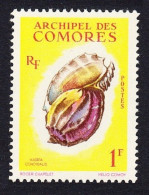 Comoro Is. Sea Shell 'Harpa Conoidalis' 1f 1962 MNH SG#24 MI#43 Sc#49 - Altri & Non Classificati