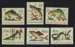 Czechoslovakia World Angling Championship Fish 1966 MNH SG#1564-1569 - Unused Stamps