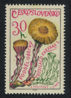 Czechoslovakia Medicinal Plants Coltsfoot 1965 MNH SG#1539 - Unused Stamps