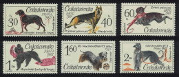 Czechoslovakia Dogs Canine Events 6v 1965 MNH SG#1493-1498 MI#1542-1547 - Neufs