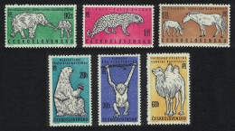 Czechoslovakia Elephant Leopard Polar Bear Chimpanzee Zoo 6v 1962 MNH SG#1291-1296 MI#1335-1340 - Unused Stamps