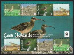 Cook Is. WWF Bristle-thighed Curlew Bird MS 2017 MNH SG#MS1931 - Cook Islands