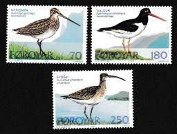 Faroe Is. Snipe Whimbrel Oyster Catcher Birds 3v 1977 MNH SG#27-29 MI#28-30 - Féroé (Iles)