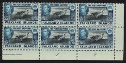 Falkland Is. Birds Upland Magellan Goose 2½d Plate Block Of 6 1949 MNH SG#152 Sc#101 - Falkland Islands