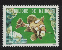 Djibouti Harlequin Sweetlips Fish 40f 1978 MNH SG#745 - Djibouti (1977-...)