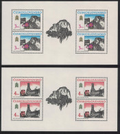 Czechoslovakia Historic Bratislava 13th Series 2 Sheetlets 1989 MNH SG#2997-2998 - Unused Stamps