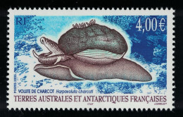 FSAT TAAF Snail Volute De Charcot 2005 MNH SG#538 MI#564 Sc#352 - Unused Stamps