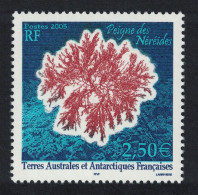 FSAT TAAF Peigne De Neriedes Antarctic Flora 2005 MNH SG#537 MI#563 - Neufs