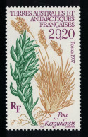 FSAT TAAF 'Poa Kerguelensis' Plant 1997 MNH SG#373 MI#367 - Unused Stamps