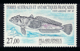 FSAT TAAF Fish Spiny Plunderfish 1997 MNH SG#372 MI#358 - Neufs