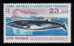 FSAT TAAF Minke Whale 'Balaenoptera Acutorostrata' 1995 MNH SG#342 MI#332 - Unused Stamps