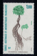 FSAT TAAF Polar Flora 'Colobanthus Kerensis' 1992 MNH SG#295 MI#287 - Unused Stamps
