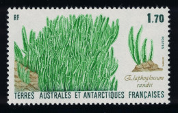 FSAT TAAF Elephant Grass 1988 MNH SG#232 MI#233 - Unused Stamps
