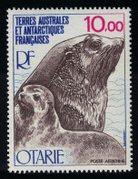 FSAT TAAF Antarctic Fur Seal And Cub Fauna Otarie 10Fr 1977 MNH SG#125 MI#119 Sc#C48 - Neufs