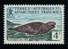 FSAT TAAF Leopard Seal Leopard De Mer 1960 MNH SG#7 MI#20 - Ongebruikt