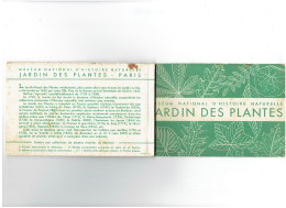 Carnet 5 Cpa - Paris - Jardin Des Plantes - Musée Histoire - Arbre Bananier Serre Tropicale Marigot Papyrus Fougères - Schildkröten