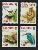 Gibraltar Warbler Kingfisher Birds Monkey Grouper Fish 4v 1999 MNH SG#853-856 Sc#794-797 - Gibraltar