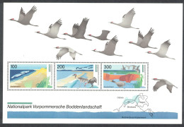 Germany Birds Cranes Geese Western Pomerania National Park MS 1996 MNH SG#MS2728 - Unused Stamps