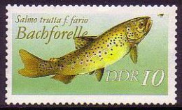 GDR Brown Trout 'Salmo Trulla' Variant 1987 MNH SG#E2802 MI#3096II - Unused Stamps