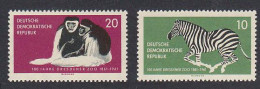 GDR Monkey Zebra Dresden Zoo 2v 1961 MNH SG#E560-E561 - Unused Stamps