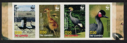 Gambia Birds WWF Black Crowned Crane Strip Of 4v Imperf 2006 MNH SG#4920-4923 MI#5631-5634 Sc#3014 A-d - Gambia (1965-...)