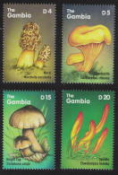 Gambia African Mushrooms 4v 2000 MNH SG#3507=3522 - Gambie (1965-...)