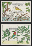 Gambia Red-throated Bee-eater Eastern White Pelican Birds 2 MSs 1988 MNH SG#MS769 - Gambia (1965-...)
