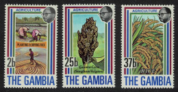 Gambia Agriculture 1st Series 3v 1973 MNH SG#301-303 - Gambia (1965-...)