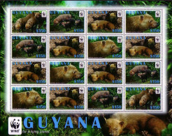 Guyana WWF Bush Dog Sheetlet Of 4 Sets ERROR 2011 MNH SG#6752a-6755a - Guiana (1966-...)
