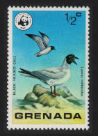 Grenada Black-headed Gull Bird WWF 1978 MNH SG#922 - Grenada (1974-...)