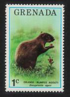 Grenada Brazilian Agouti Animal Fauna 1976 MNH SG#762 - Grenade (1974-...)