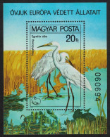 Hungary Great Egrets Protected Birds MS 1980 MNH SG#MS3346 MI#Block 146A - Ongebruikt